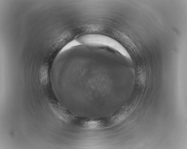 X0000115340312200911301553