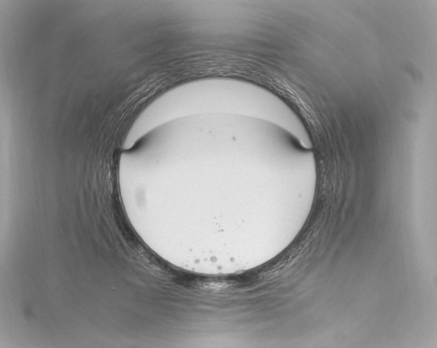 X0000115340313200911301553