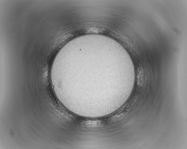 X0000115340314200911301553