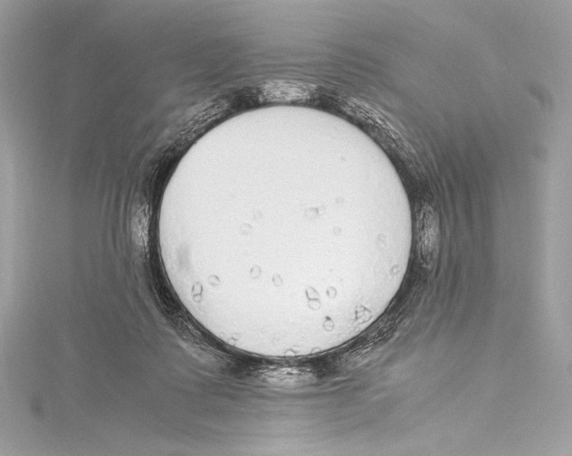 X0000115340315200911301553