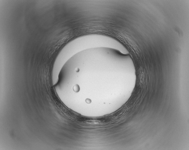 X0000115340316200911301553