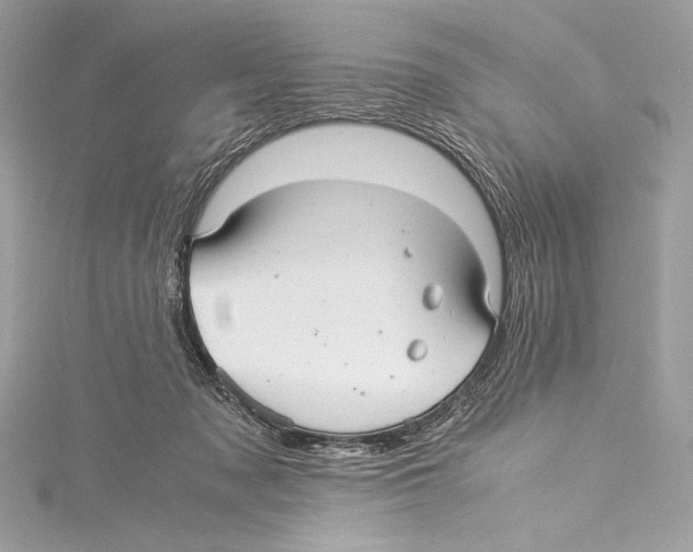 X0000115340317200911301553