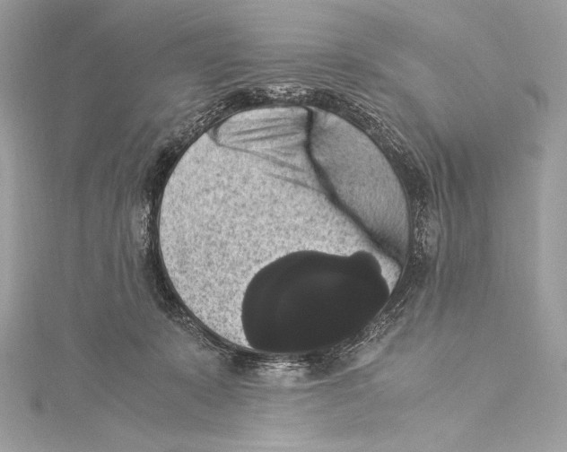 X0000115340319200911301553