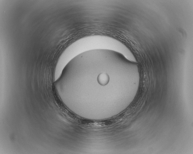 X0000115340320200911301553