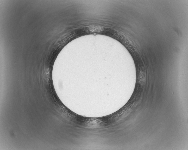 X0000115340321200911301553