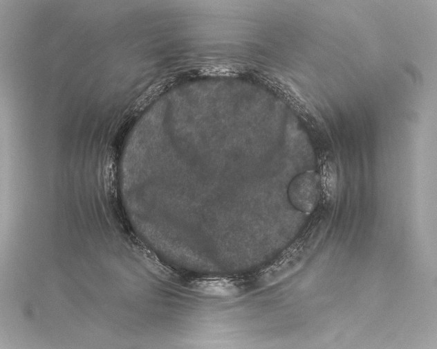 X0000115340322200911301553