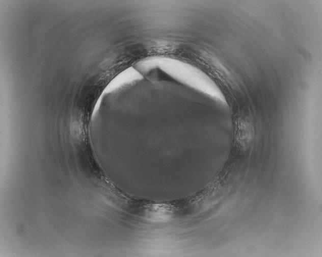 X0000115340324200911301553