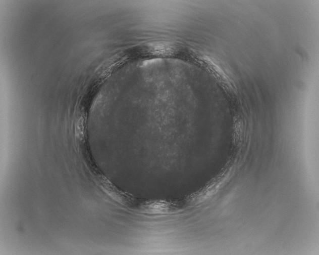 X0000115340325200911301553