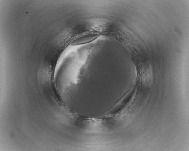 X0000115340328200911301553