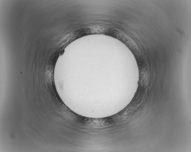 X0000115340329200911301553