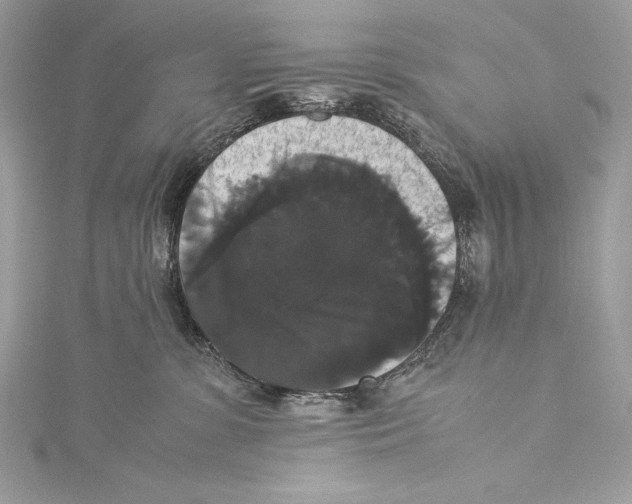 X0000115340331200911301553