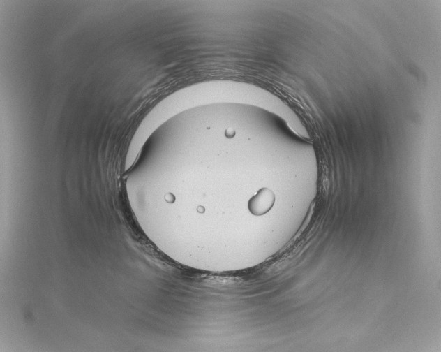 X0000115340332200911301553