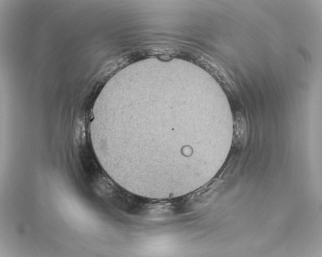 X0000115340333200911301553