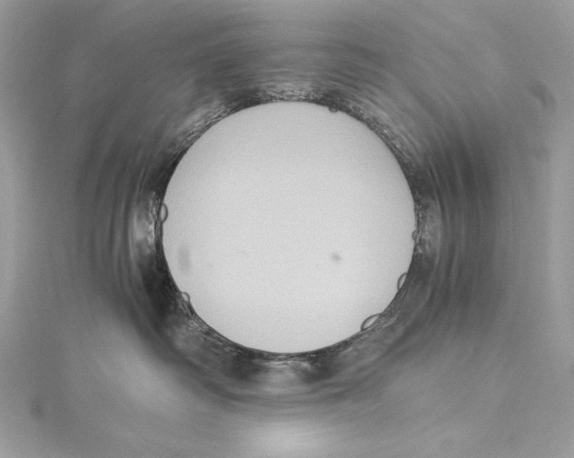 X0000115340334200911301553