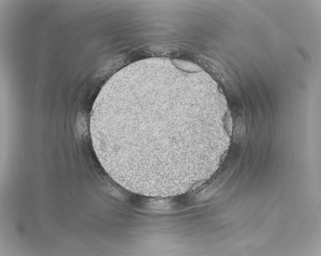 X0000115340335200911301553