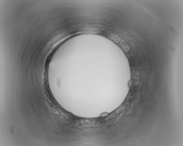 X0000115340338200911301552