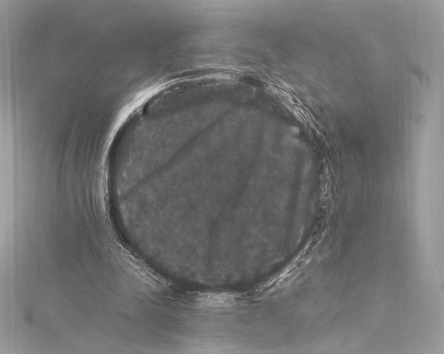 X0000115340342200911301552