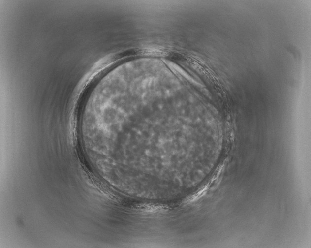 X0000115340343200911301552