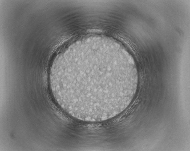 X0000115340345200911301552