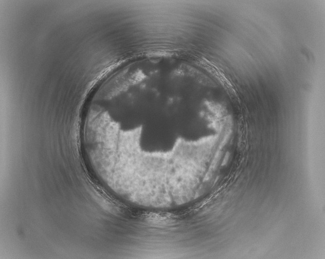 X0000115340346200911301552