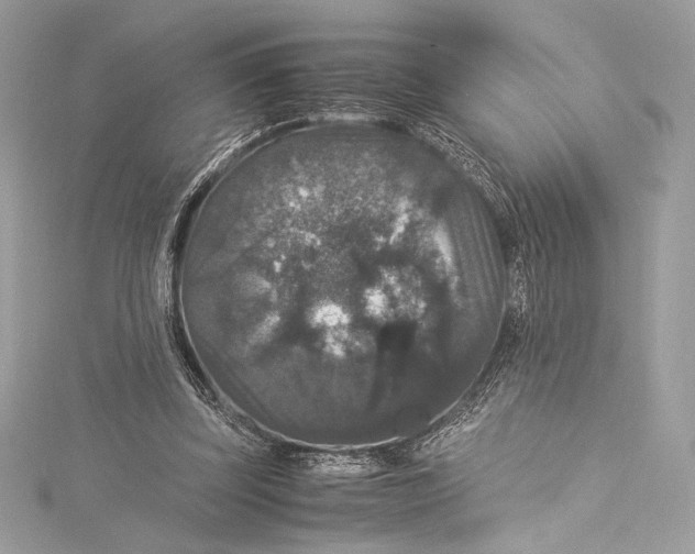 X0000115340347200911301552