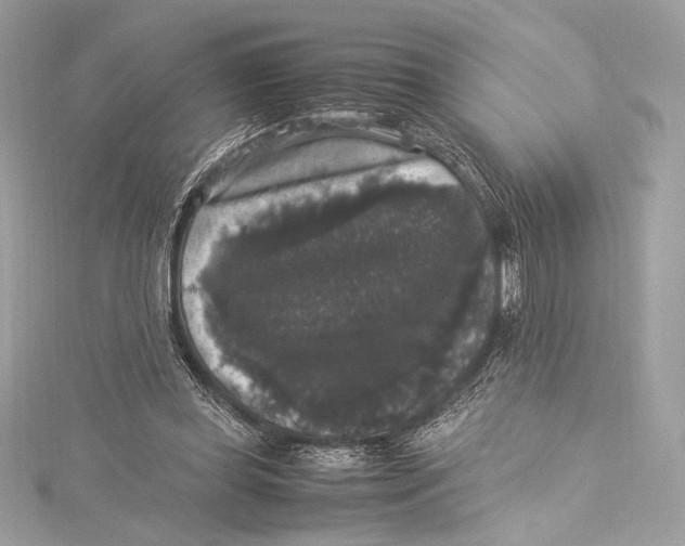 X0000115340349200911301552