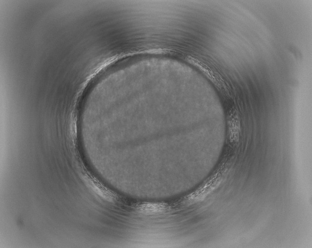 X0000115340350200911301552