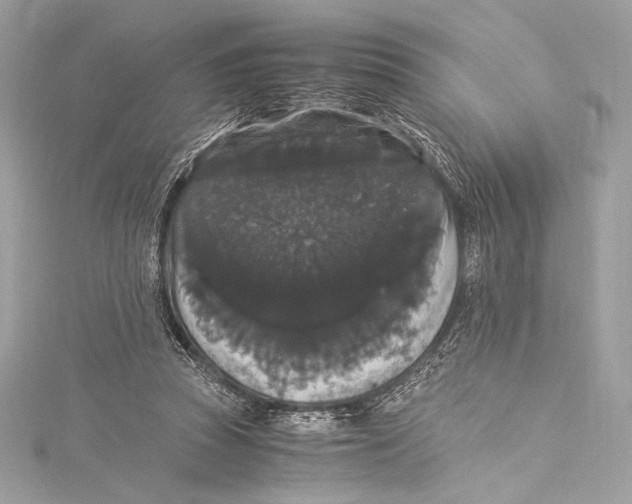 X0000115340353200911301552