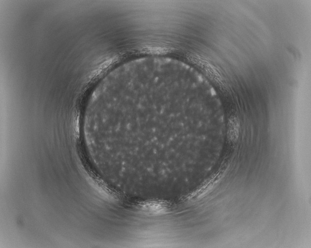 X0000115340358200911301552