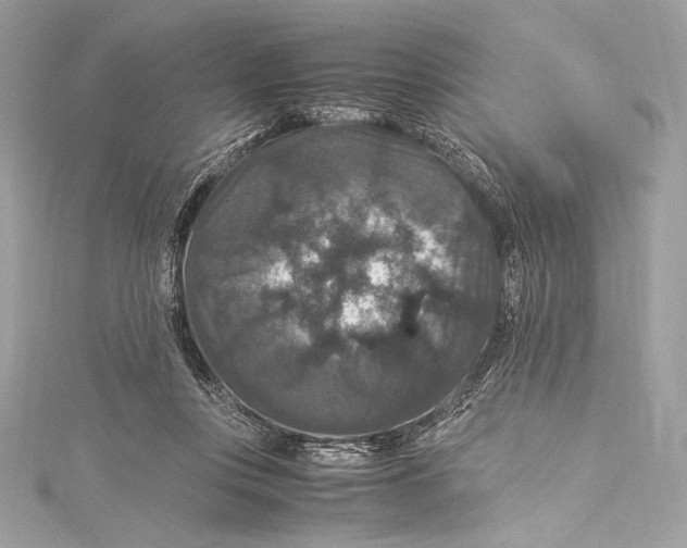 X0000115340359200911301552