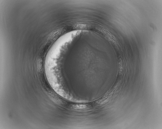 X0000115340361200911301552