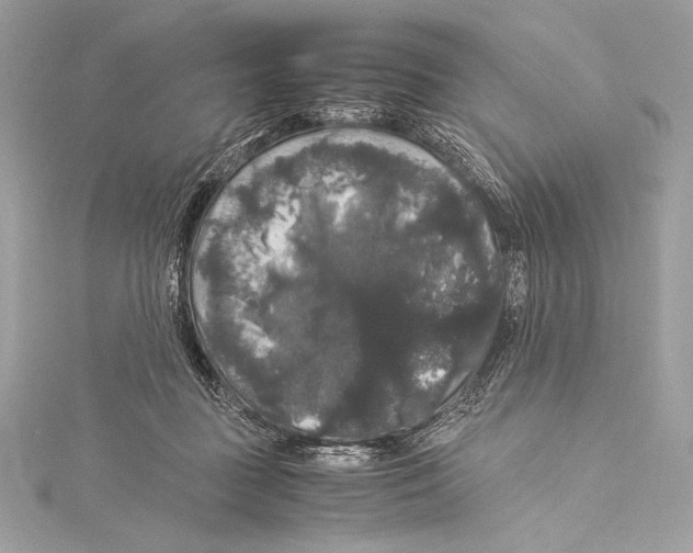 X0000115340363200911301552