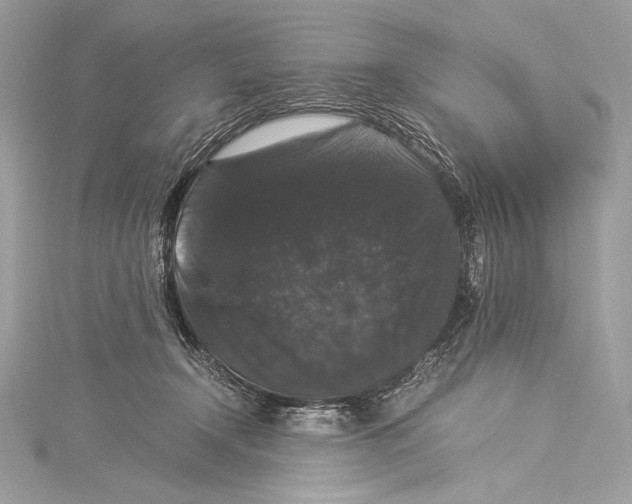 X0000115340366200911301552