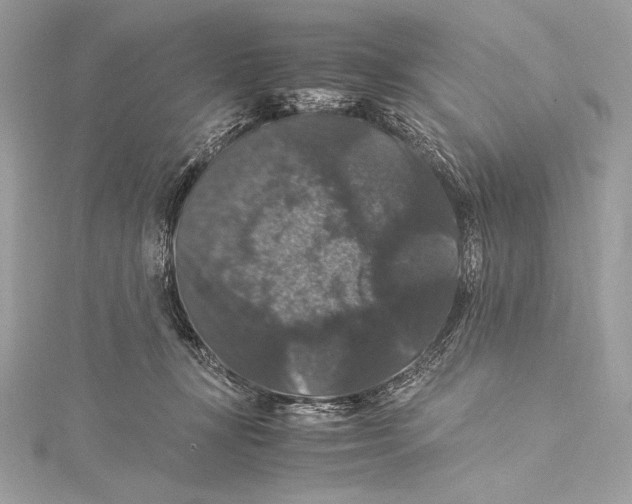 X0000115340367200911301552