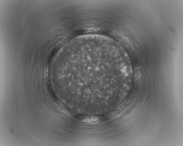 X0000115340369200911301552