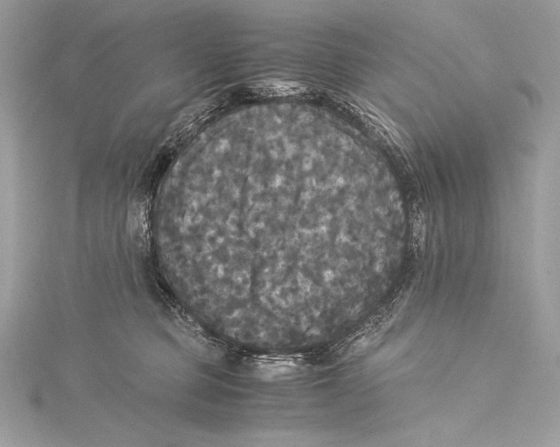 X0000115340373200911301552