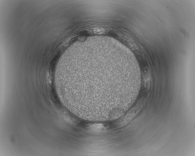 X0000115340374200911301552