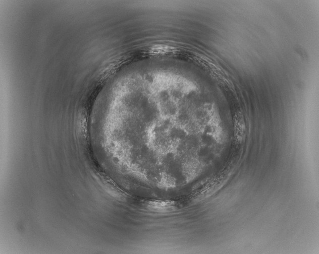 X0000115340375200911301552