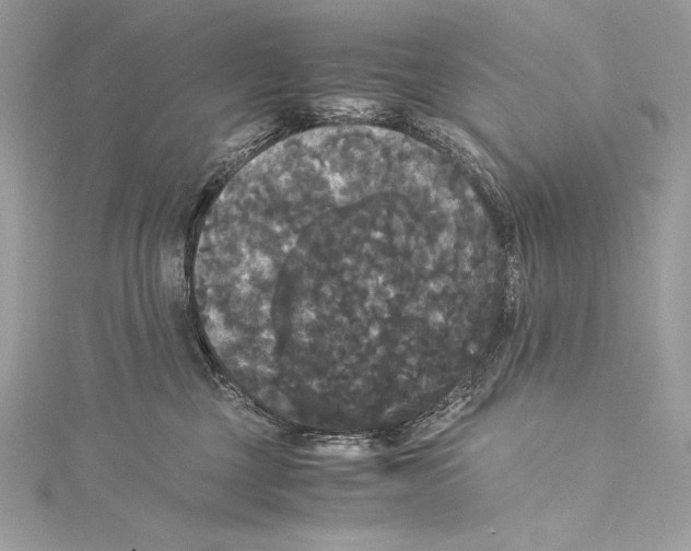 X0000115340377200911301552