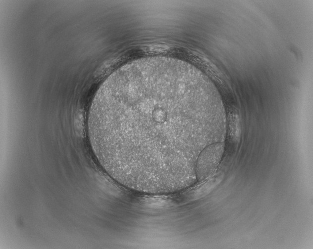 X0000115340378200911301552