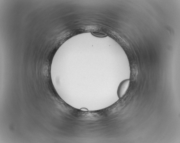 X0000115340379200911301553