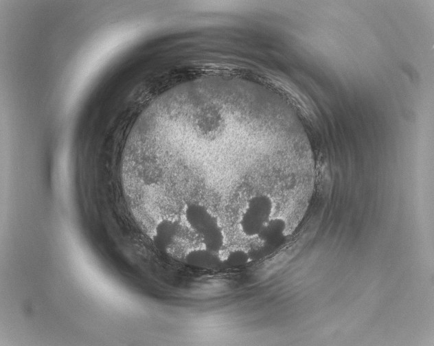 X0000115340381200911301553