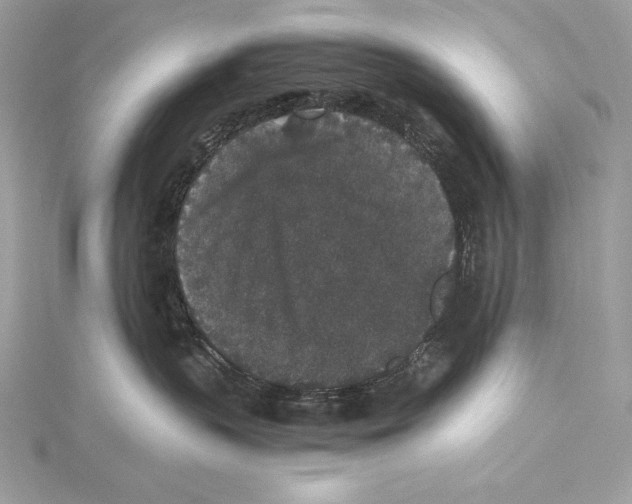 X0000115340383200911301553