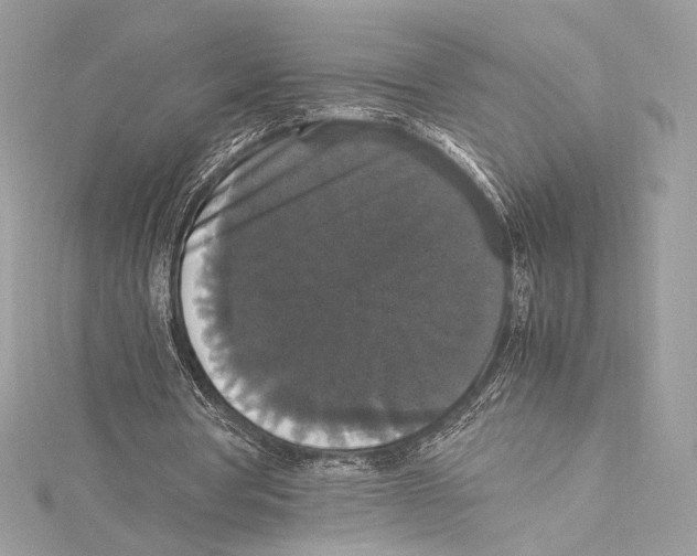 X0000115340386200911301552