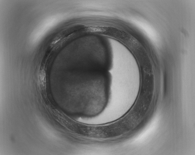 X0000115340387200911301552