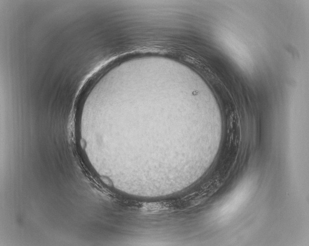 X0000115340388200911301552