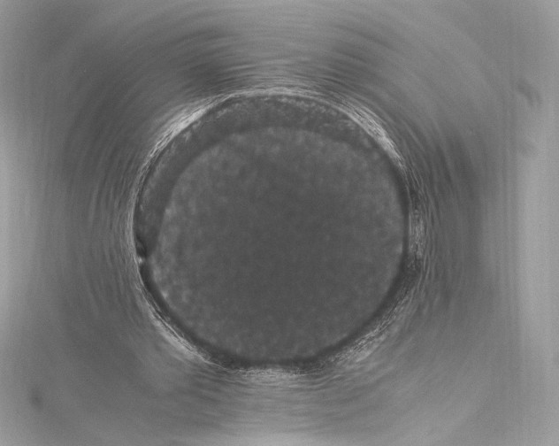 X0000115340389200911301552