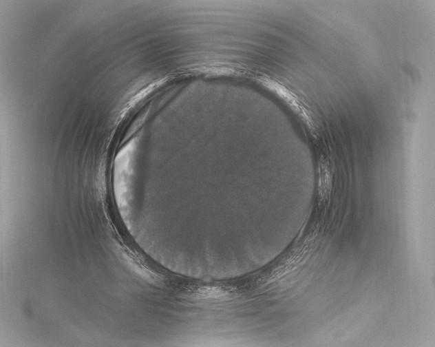 X0000115340390200911301552