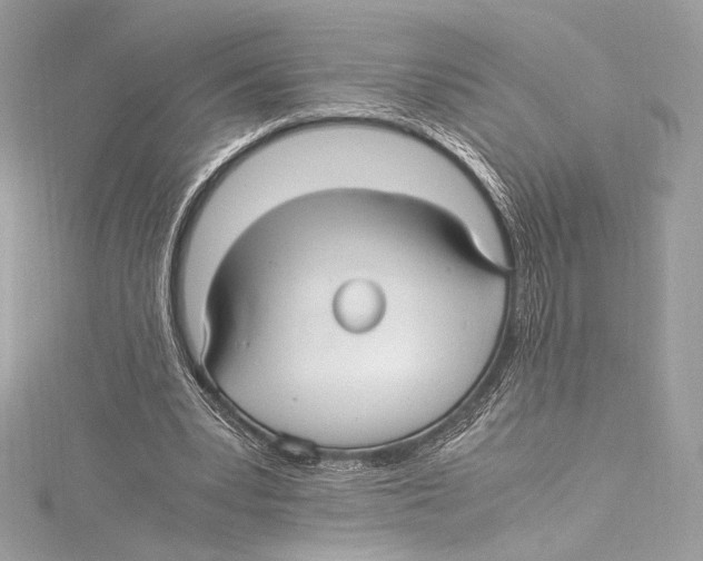 X0000115340391200911301552