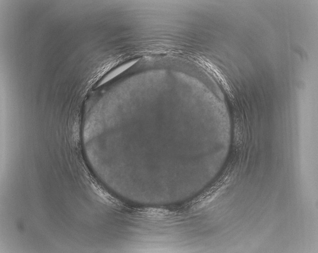 X0000115340393200911301552